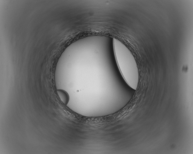 X0000090920817200707301531