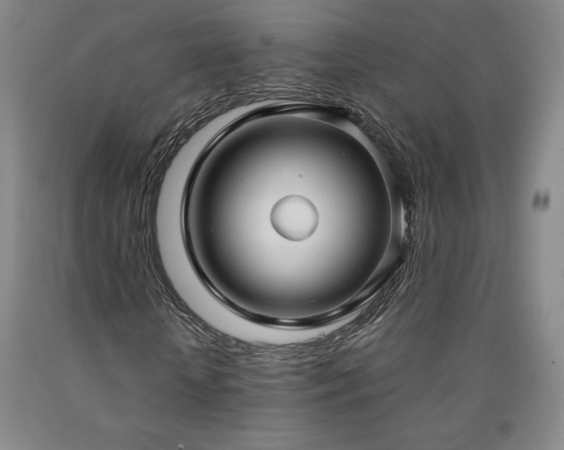 X0000090920818200707301531