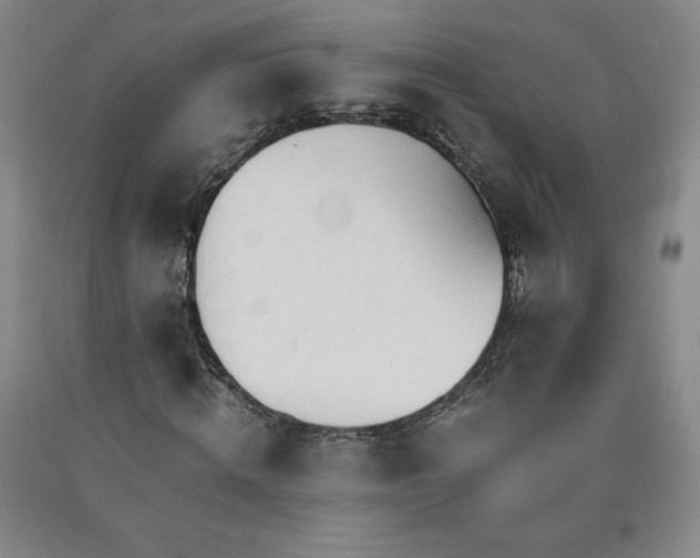 X0000090920820200707301531