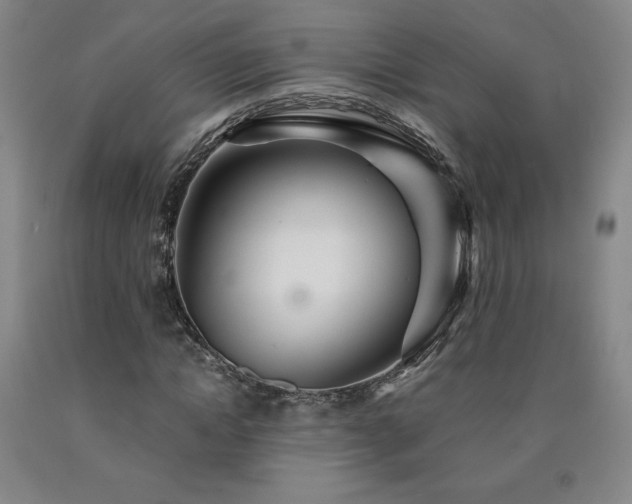 X0000090920822200707301531