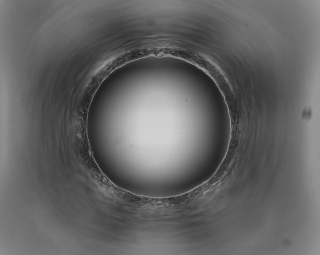 X0000090920823200707301531