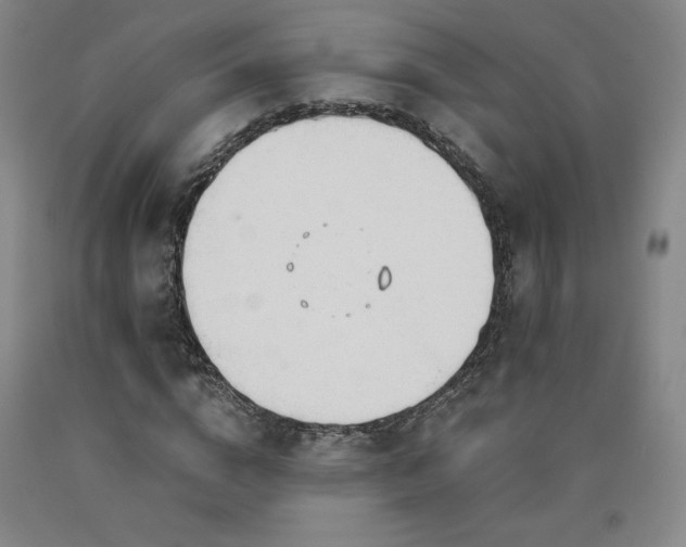 X0000090920824200707301531