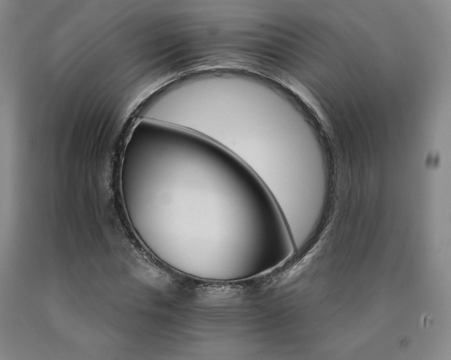 X0000090920826200707301531