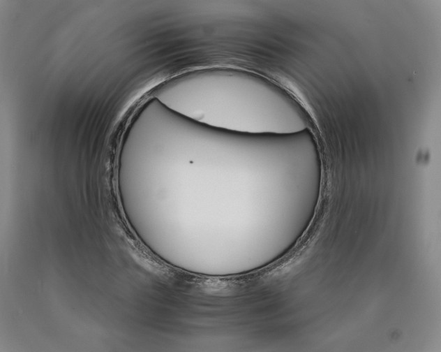 X0000090920827200707301531