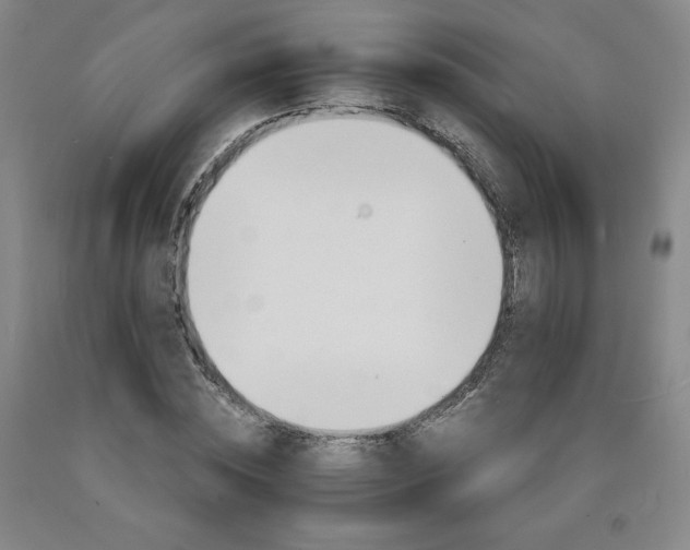 X0000090920828200707301531