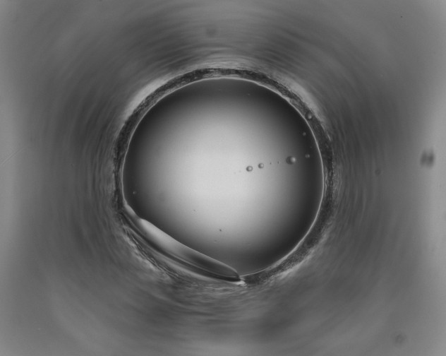 X0000090920829200707301531