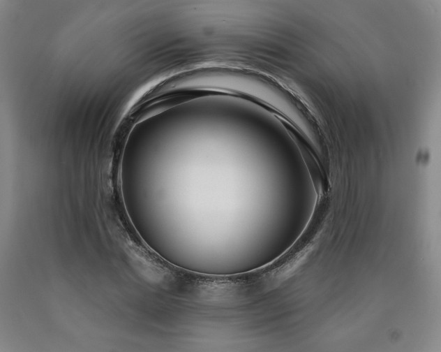 X0000090920830200707301531