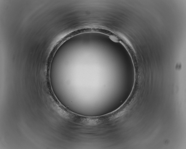 X0000090920831200707301531