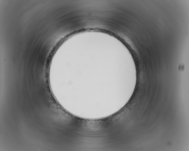 X0000090920832200707301531