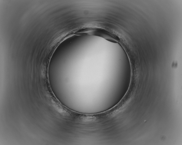 X0000090920833200707301531