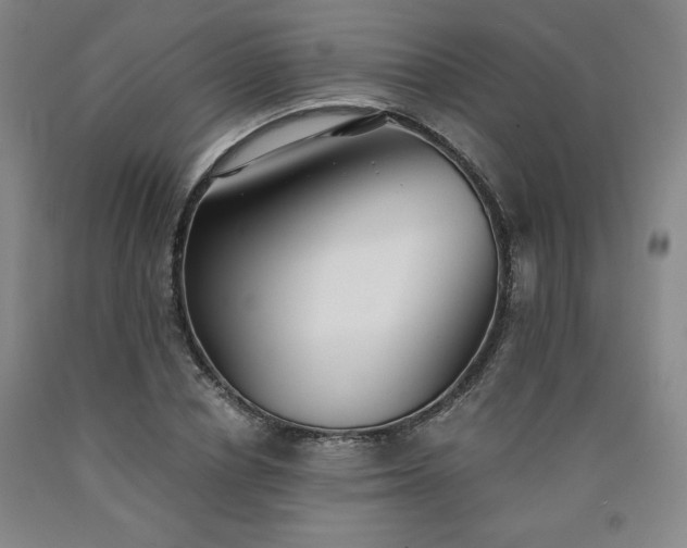 X0000090920834200707301531
