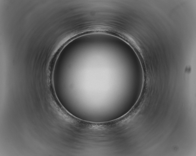 X0000090920835200707301531