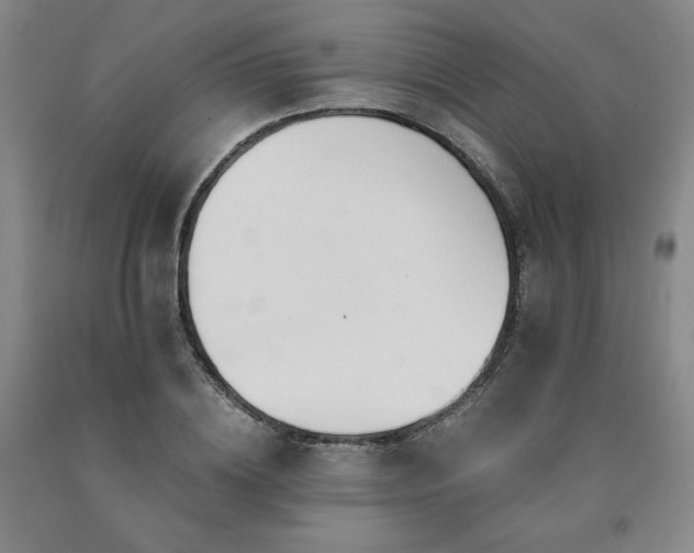 X0000090920836200707301531