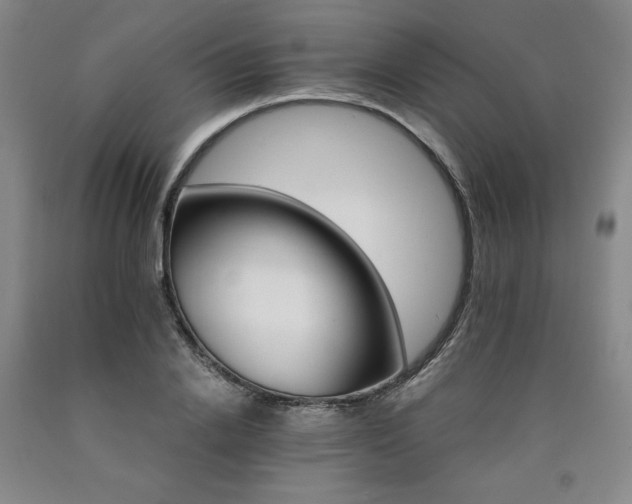X0000090920838200707301531
