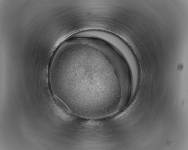X0000090920842200707301531