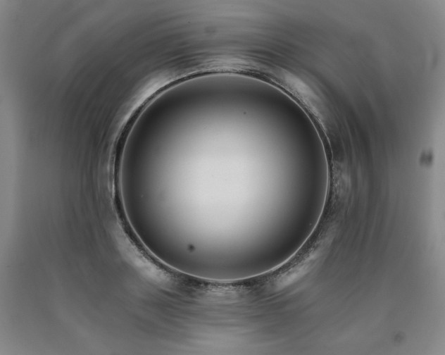 X0000090920843200707301531