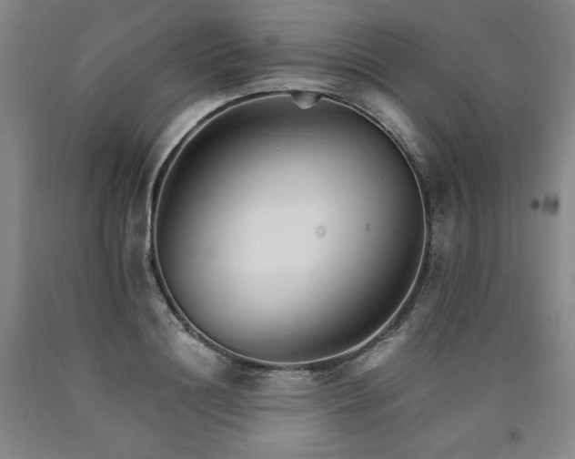 X0000090920844200707301531