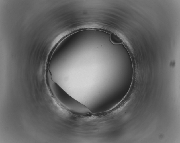X0000090920845200707301531