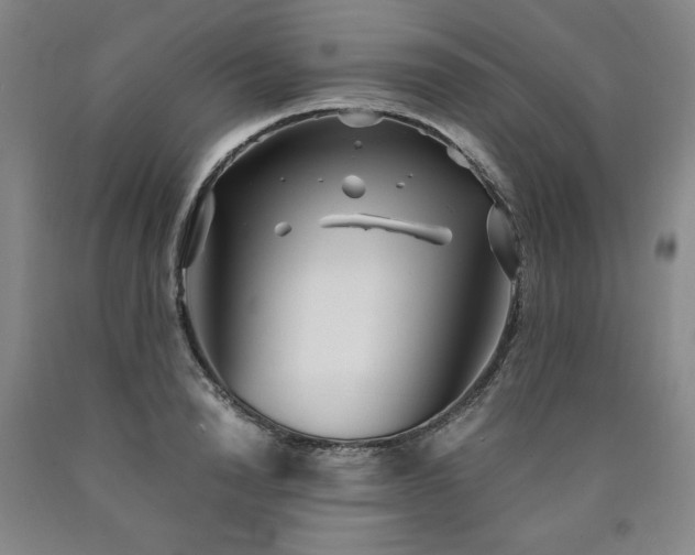 X0000090920846200707301531