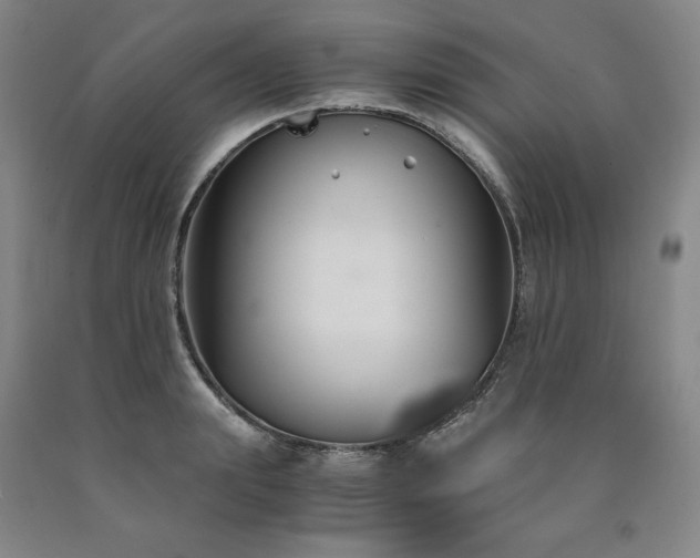 X0000090920847200707301531