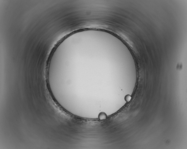 X0000090920848200707301531