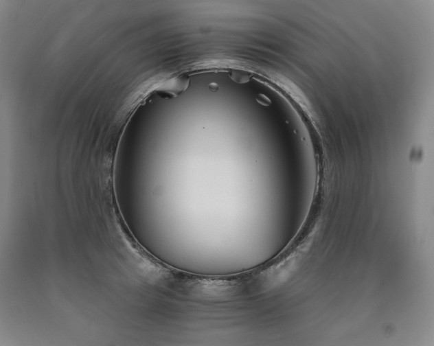 X0000090920849200707301531