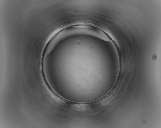 X0000090920853200707301531