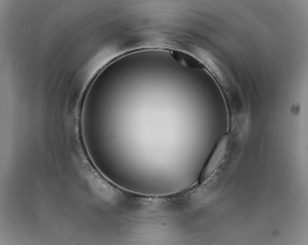 X0000090920854200707301531
