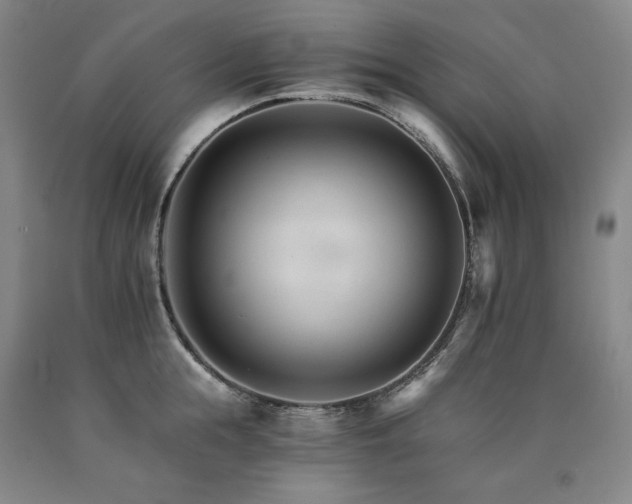 X0000090920855200707301531
