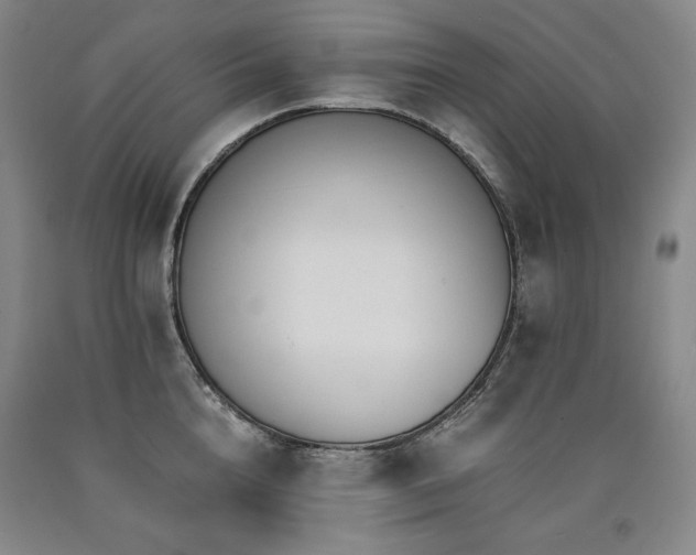 X0000090920856200707301531