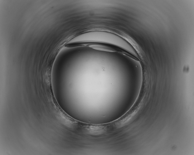 X0000090920857200707301531