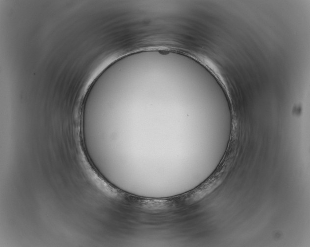 X0000090920859200707301531