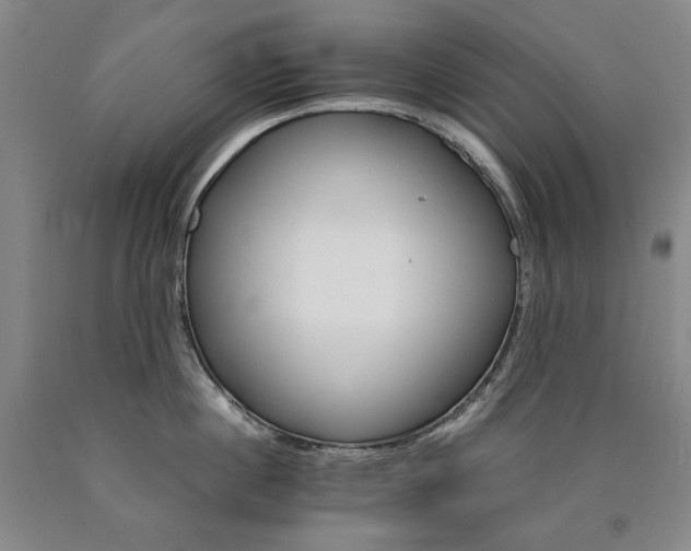 X0000090920860200707301531