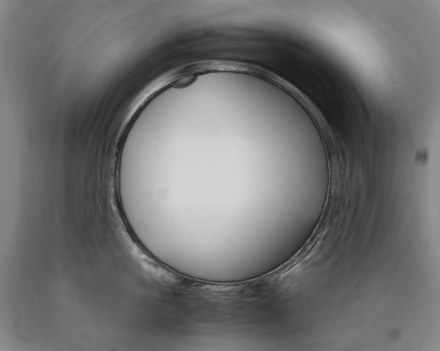 X0000090920861200707301531