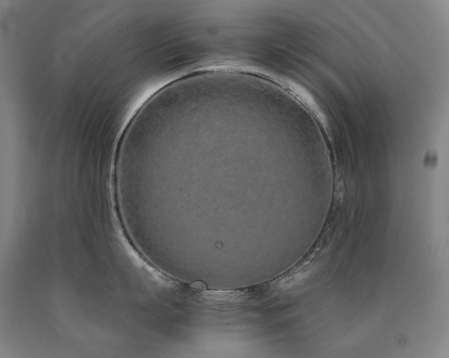 X0000090920863200707301531
