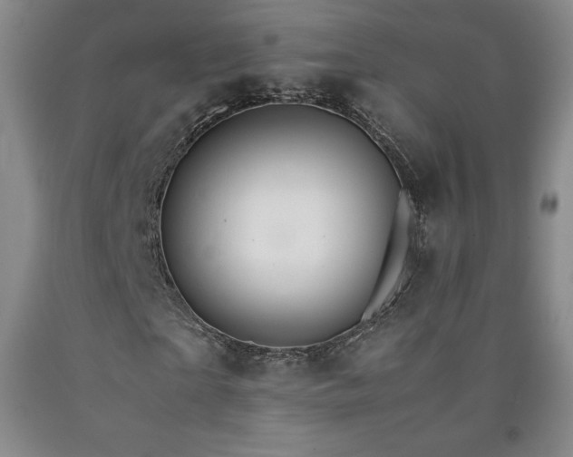 X0000090920865200707301531