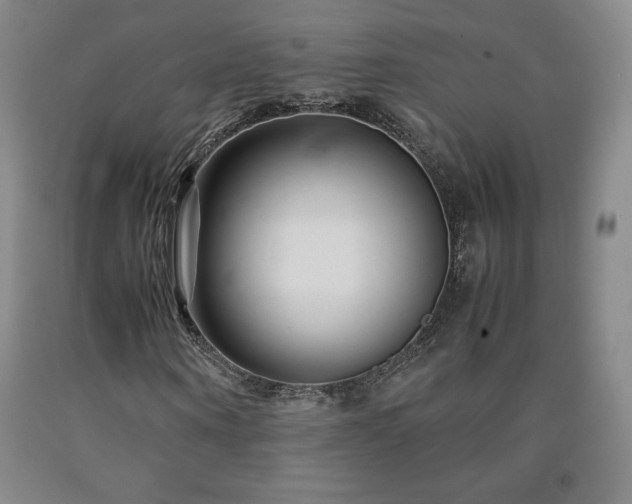 X0000090920866200707301531