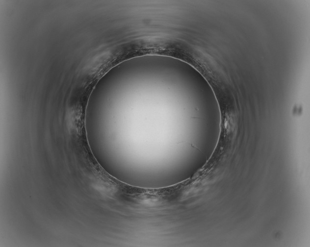 X0000090920867200707301531