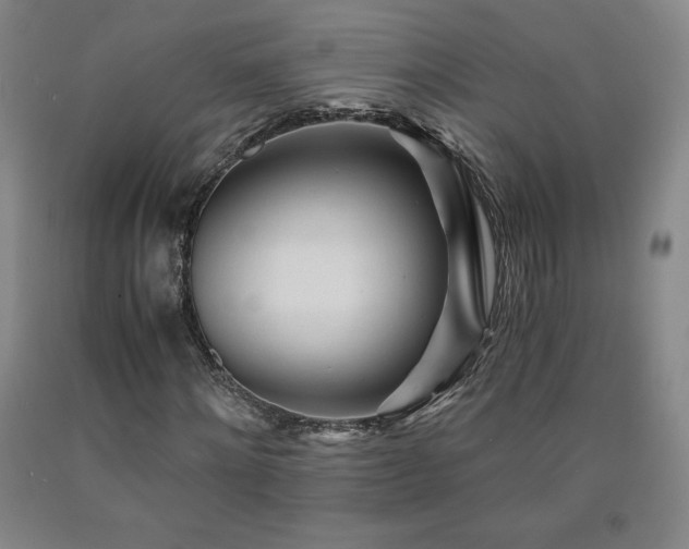 X0000090920868200707301531