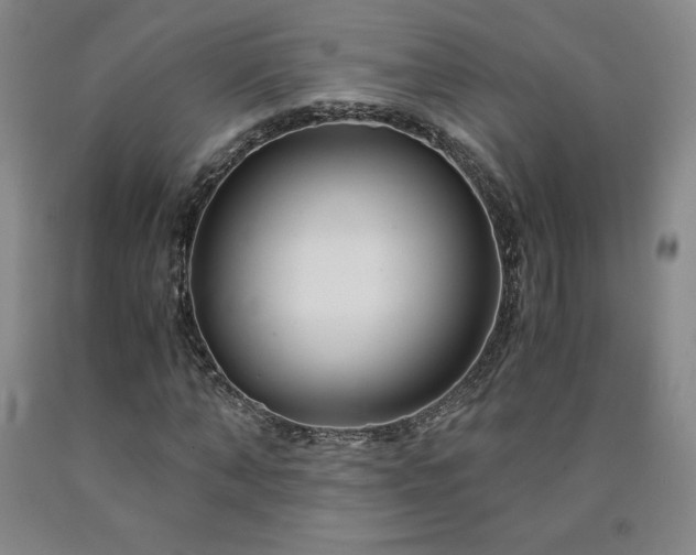 X0000090920870200707301531