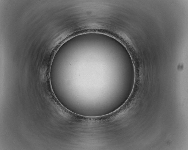 X0000090920873200707301531