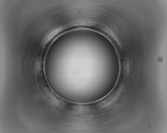 X0000090920874200707301531