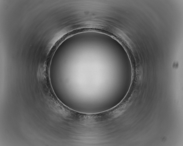 X0000090920875200707301531