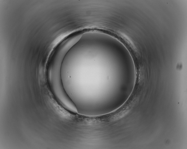 X0000090920876200707301531