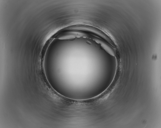 X0000090920877200707301531