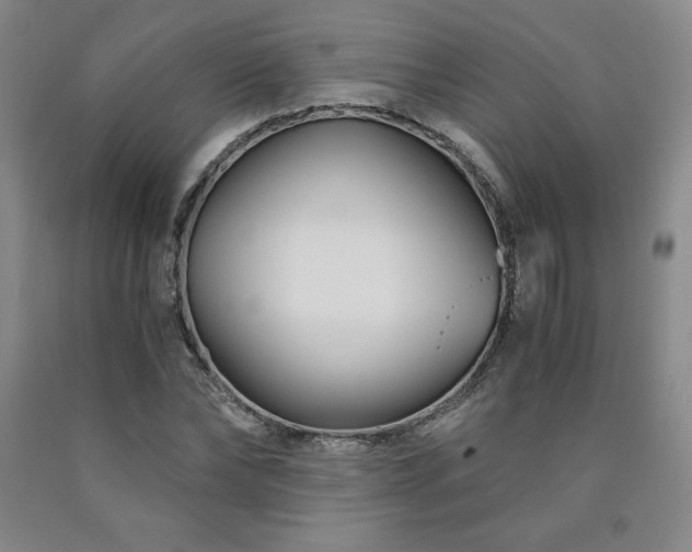 X0000090920878200707301531