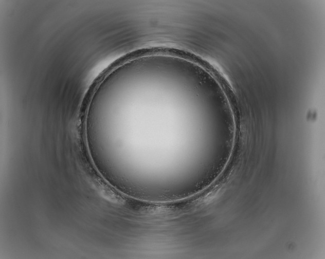 X0000090920879200707301531