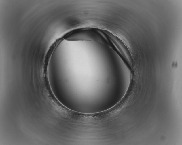 X0000090920880200707301531