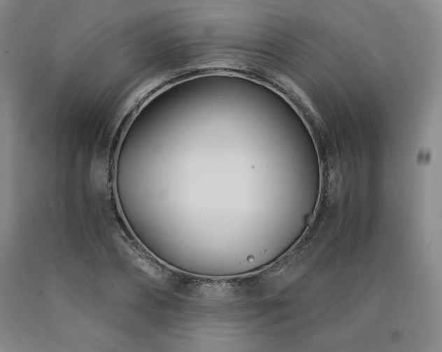 X0000090920882200707301531