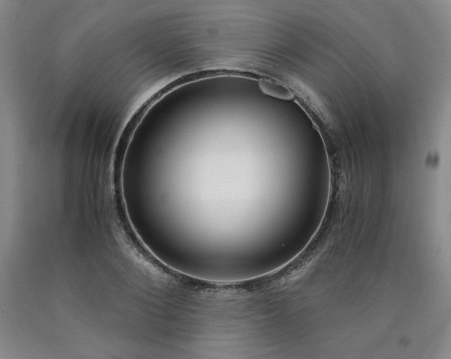 X0000090920884200707301531